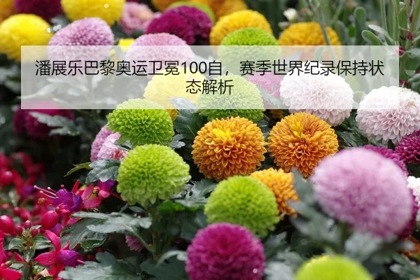 潘展乐巴黎奥运卫冕100自，赛季世界纪录保持状态解析