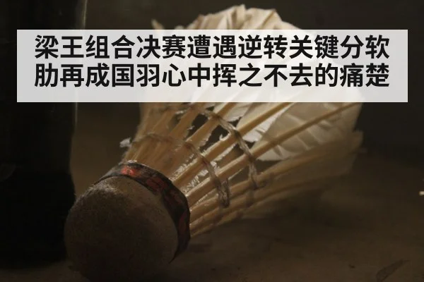 梁王组合决赛遭遇逆转关键分软肋再成国羽心中挥之不去的痛楚