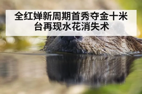 全红婵新周期首秀夺金十米台再现水花消失术